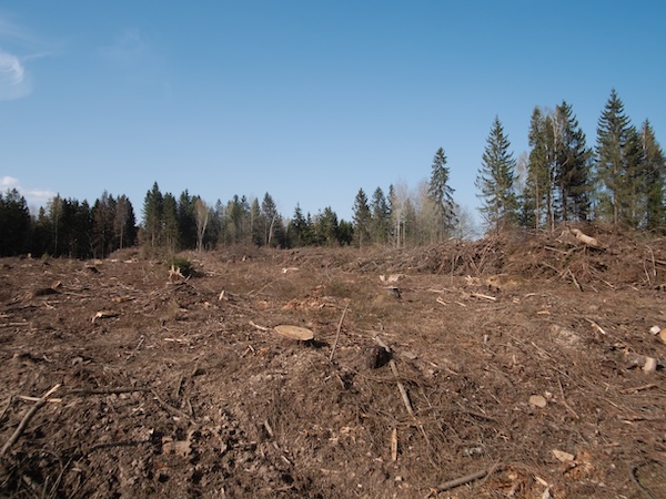Land Clearing Service for Klamath Falls OR