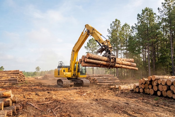 yellow-excavator-lifting-logs-with-grapple-in-forest_78654445 (1) Land Clearing