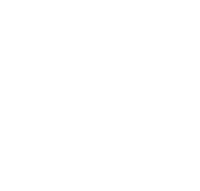 Wynne Excavation
